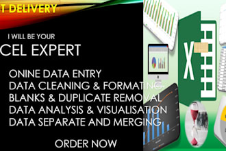 data entry , data cleaning , dashboard , data scraping in minimum times