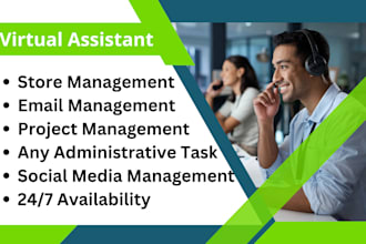 do personal virtual assistant, customer service and support work