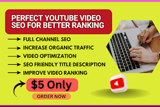 be best youtube video SEO expert and channel growth specialist