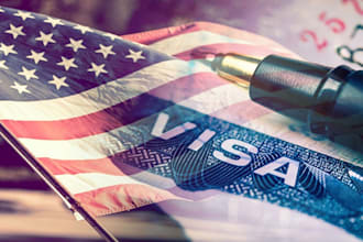 write professional plan for eb2 niw eb1 usa visa