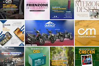 be your expert graphic designer in canva
