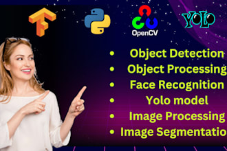 do object detection and vision projects using yolo opencv