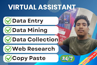 edit, data entry, scraping, copy paste and excel data entry