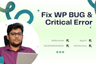 fix wordpress errors, crashes, and technical issues