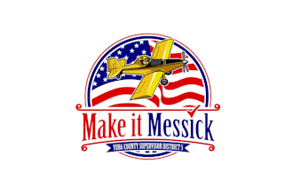 create awesome and gorgeous aviation logo design