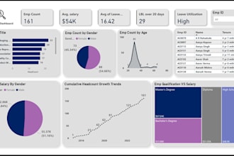 create insightful and professional power bi dashboards and reports