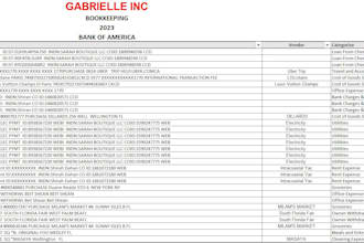 assist for you financial reporting and bookkeeping in excel
