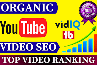 do optimize youtube video seo expert for organic promotion and effective ranking