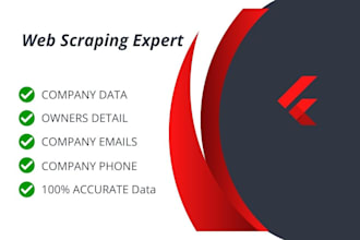 do web research, data entry, email scraping, data collection