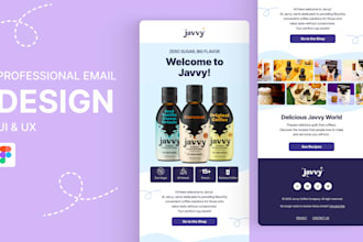 design a professional responsive email design