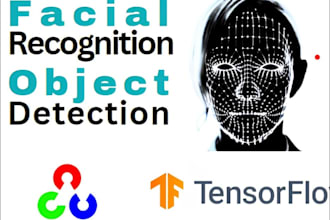 do ai powered liveness detection, face swap, object recognition tracking web app