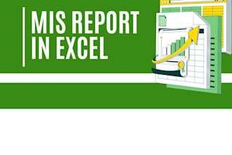 manage your excel data mis and reports very efficiently