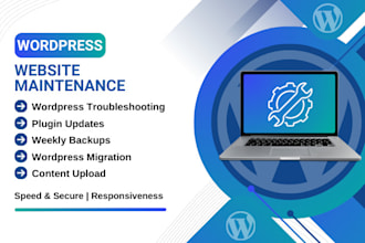 provide wordpress website maintenance, support, updates, and help