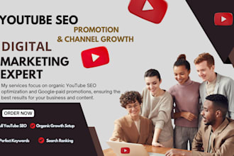 get real youtube views with organic growth and promotion