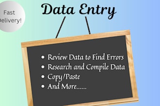 provide data entry services