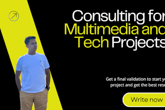 professional consulting for multimedia and tech projects