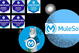 help you do API integration using mulesoft