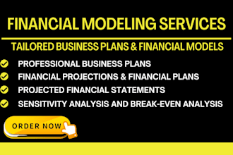 make financial projections, forecasts, and financial models