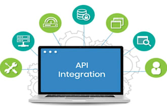 provide API integration development and bug fixing