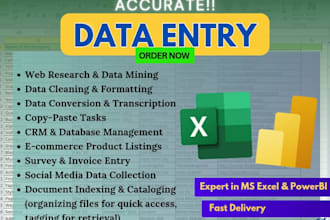 do accurate data entry and cleaning in ms excel and powerbi