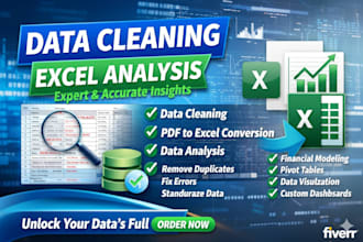 do professional microsoft excel data cleaning, analysis, and formatting
