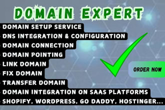 setup domain fix domain connection dns configuration domain pointing link domain