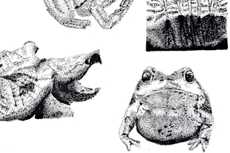 create stippling and line art