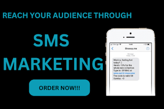 do mass text messaging and bulk sms  marketing worldwide with klaviyo, twillo