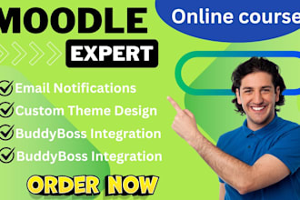 develop moodle, amelia install wordpress and themeforest
