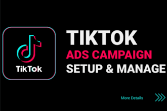 setup and boost engagement with expert tiktok ads management