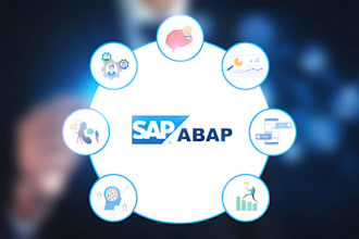 provide expert sap abap development and consultation services