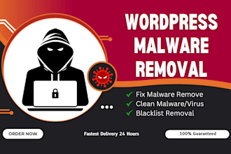 provide professional wordpress malware removal and security setup