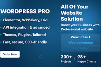 do wordpress website development, elementor, API integration, custom solutions