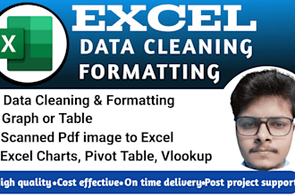 excel, data cleaning, data enter, excel chart, pivot table