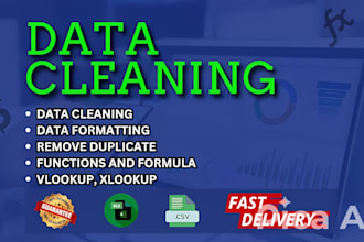 spreadsheets expert excel data cleaning and formatting
