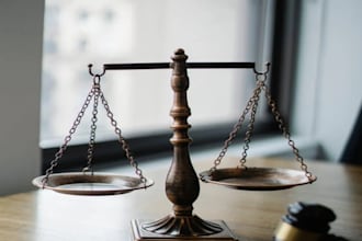 advise on trademark search and other IP in india