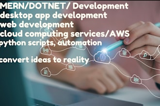 provide software development, IT and cloud computing services, semester project