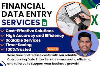 do financial and accounting data entry service in quickbooks and excel