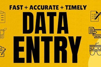 be your professional data entry assistant
