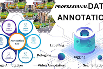 do professional image annotation and segmentation