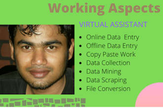 be your virtual assistant for data entry research cp