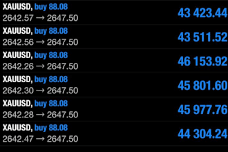 do forex trading bot, forex robot, grid bot, gold ea, scalping ea, ger30, us30