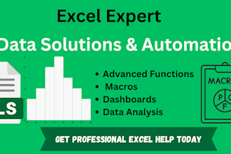 be your professional microsoft excel specialist