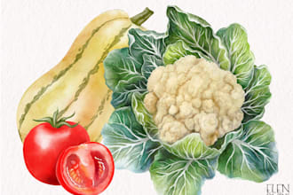draw realistic watercolor illustrations of fruits and vegetables