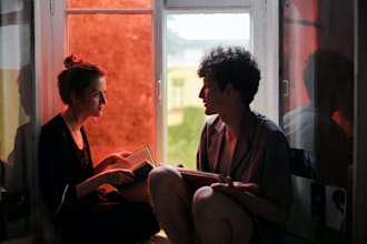 do critical analysis of english literature, film, novel, poem and critique