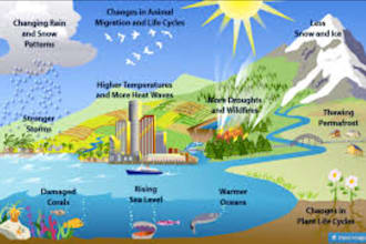 write climate change articles and sustainability blogs