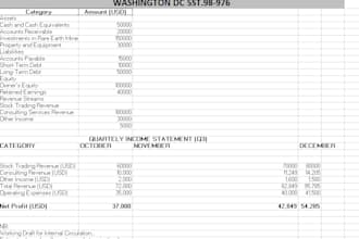 enter data, clean up, merge, sort categories, analyze and present data