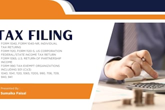 prepare and e file US tax return for individual, business and llc