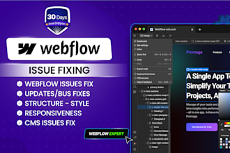 expertly fix your webflow issues, bugs, and responsive any problems