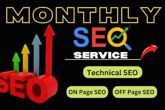do monthly SEO service with high quality on page and off page backlinks